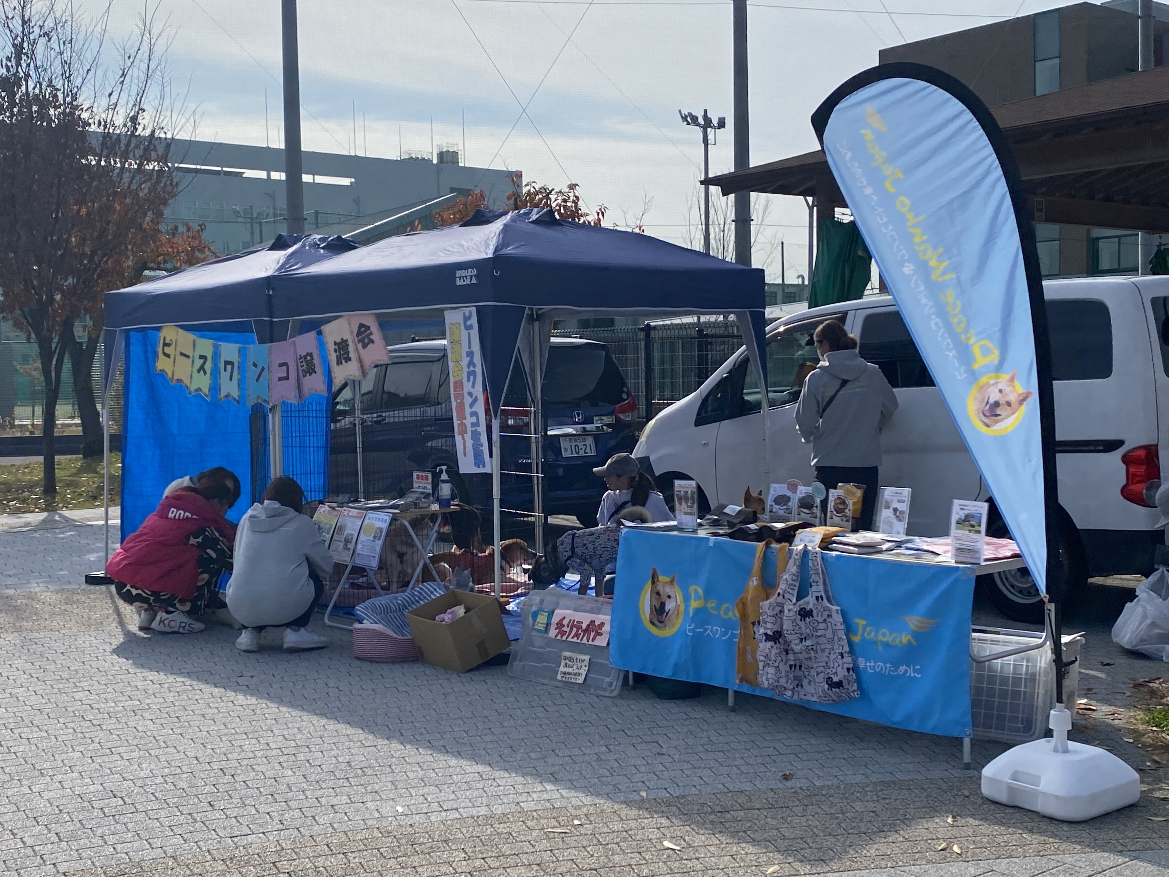 保護団体による譲渡会・チャリティー